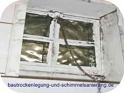 verschimmeltes Fenster